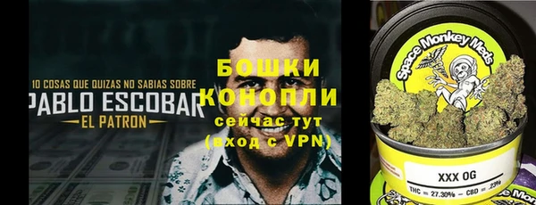 эйфоретик Аркадак