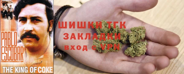 эйфоретик Аркадак