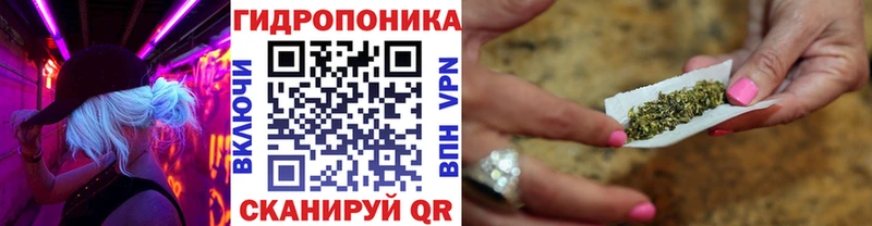 наркотики  Кемь  МАРИХУАНА OG Kush 